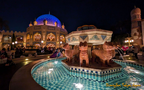 PXL 20241104 085952338