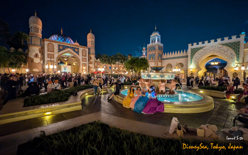 PXL 20241104 090116186