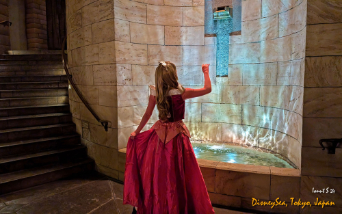 PXL 20241104 090242714