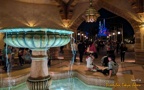 PXL 20241104 090428614