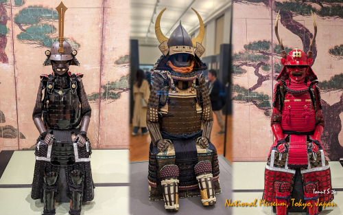 PXL 20241102 011815733