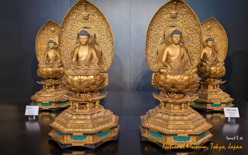 PXL 20241102 021544660