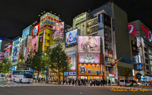 Akihabara-PXL 20241106 085616954