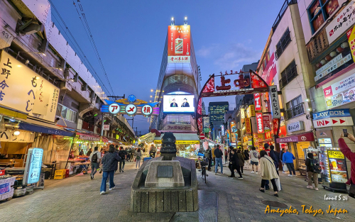 Ameyoko-PXL 20241106 075755292