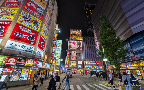 Kabukicho-PXL 20241105 081503402