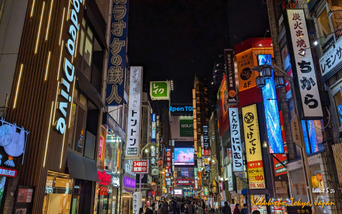 Kabukicho-PXL 20241105 083947900