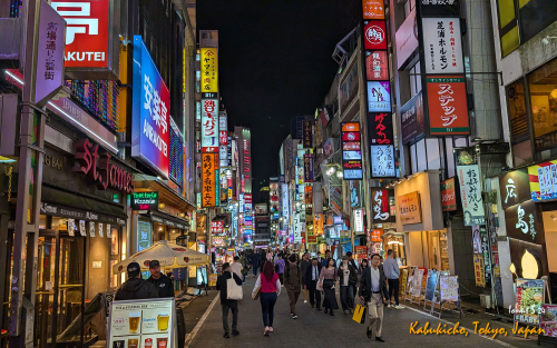 Kabukicho-PXL 20241105 084233572