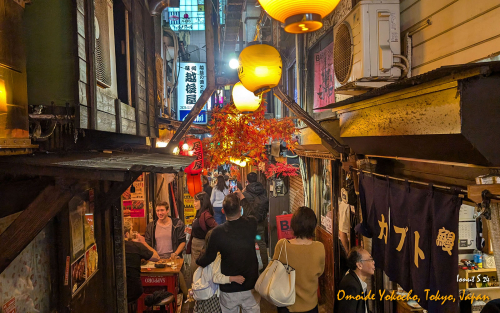 Omoide-Yokocho-PXL 20241105 085144624