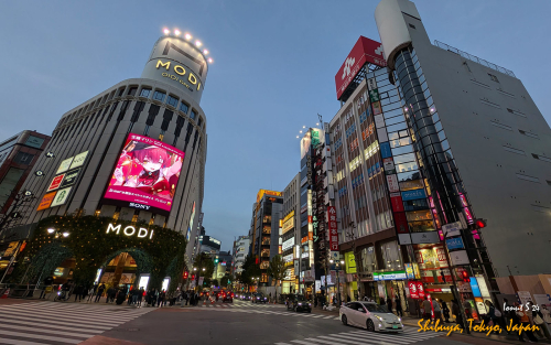 Shibuya-PXL 20241031 075433668.NIGHT 