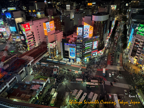 Shibuya-Scramble-Crossing-IMG 0862