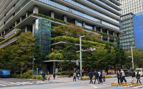 Ginza-PXL 20241106 054622852