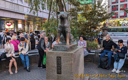 Hachiko-Memorial-Statue-PXL 20241103 074340196