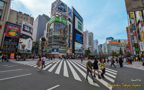 Shinjuku-PXL 20241031 033719050.MP 