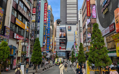 Shinjuku-PXL 20241031 034010441.MP 