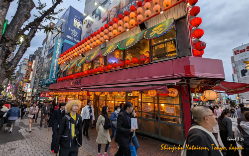 Shinjuku-Yataienn-PXL 20241105 072035315