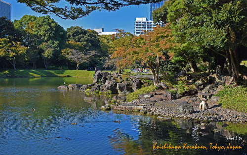 Koishikawa-Korakuen-DSC 4764
