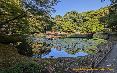 Koishikawa-Korakuen-PXL 20241103 000742187