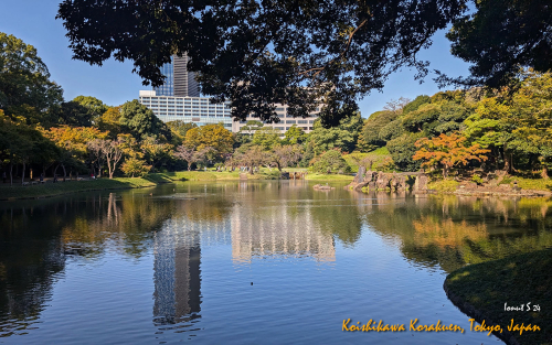Koishikawa-Korakuen-PXL 20241103 001908498