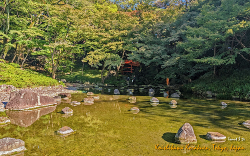 Koishikawa-Korakuen-PXL 20241103 003410535