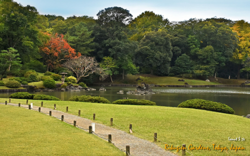 Rikugien-Gardens-DSC 5185