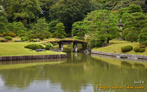 Rikugien-Gardens-DSC 5230
