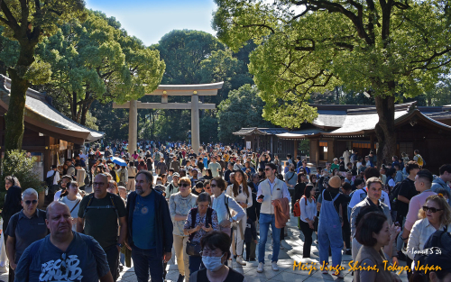 Meiji-Jingu-Shrine-DSC 4848