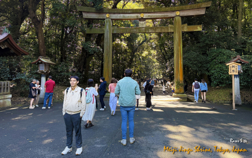 Meiji-Jingu-Shrine-IMG 1119