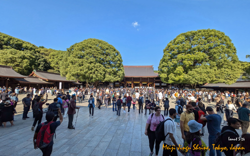Meiji-Jingu-Shrine-PXL 20241103 021015829