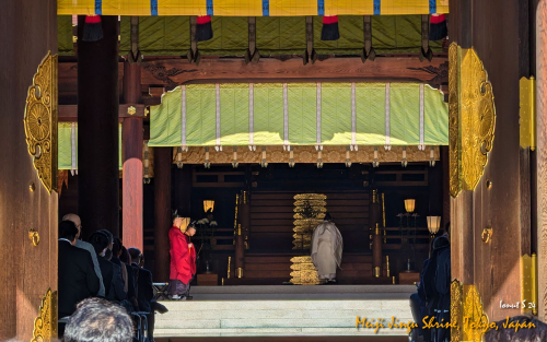 Meiji-Jingu-Shrine-PXL 20241103 021314742