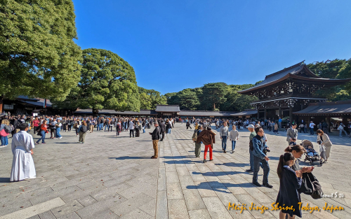 Meiji-Jingu-Shrine-PXL 20241103 022012406