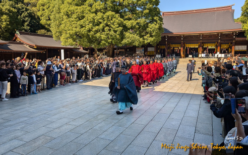 Meiji-Jingu-Shrine-PXL 20241103 025016832