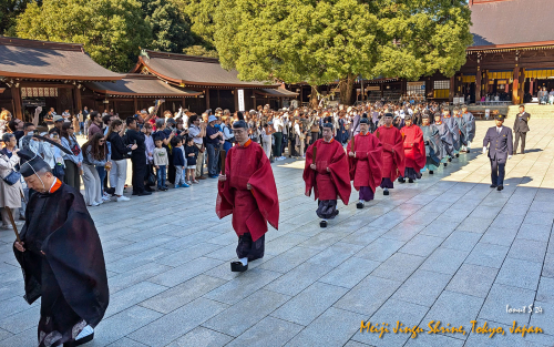 Meiji-Jingu-Shrine-PXL 20241103 025022427