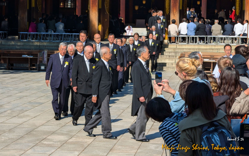 Meiji-Jingu-Shrine-PXL 20241103 025128836