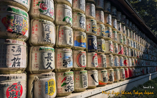 Meiji-Jingu-Shrine-PXL 20241103 031300509