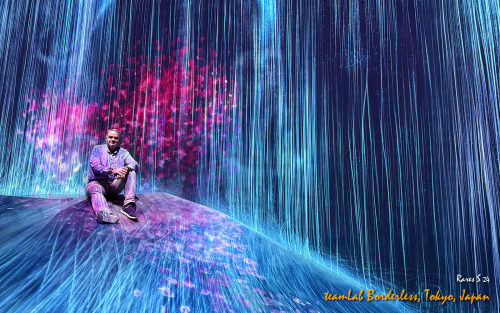 teamLab-Borderless-IMG 1332