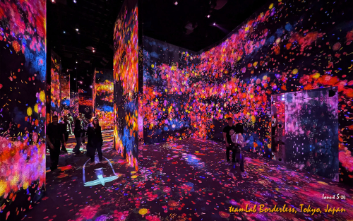 teamLab-Borderless-PXL 20241105 000235315