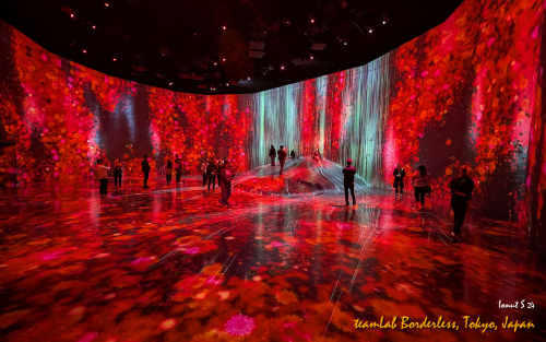 teamLab-Borderless-PXL 20241105 000454958