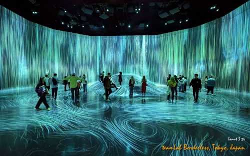 teamLab-Borderless-PXL 20241105 001202234