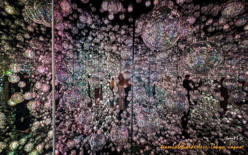 teamLab-Borderless-PXL 20241105 003047927