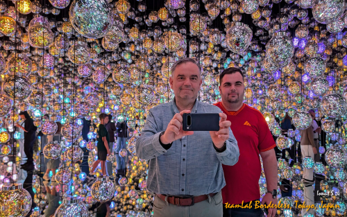 teamLab-Borderless-PXL 20241105 003321067