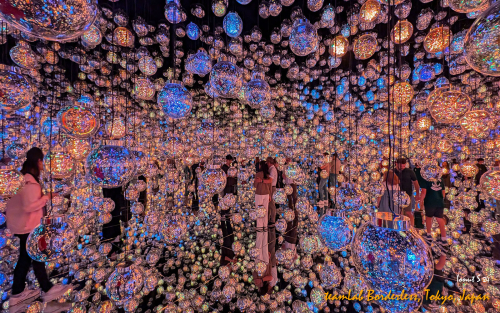 teamLab-Borderless-PXL 20241105 003353541