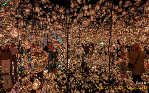 teamLab-Borderless-PXL 20241105 003429959