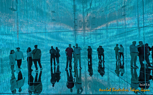 teamLab-Borderless-PXL 20241105 004031981