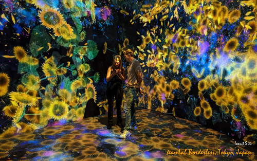 teamLab-Borderless-PXL 20241105 004617037