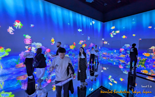teamLab-Borderless-PXL 20241105 005509520