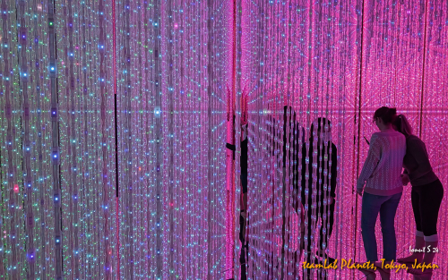 teamLab-Planets-PXL 20241101 003333487.NIGHT 