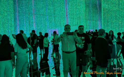 teamLab-Planets-PXL 20241101 003517030.NIGHT 