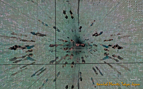 teamLab-Planets-PXL 20241101 004012859