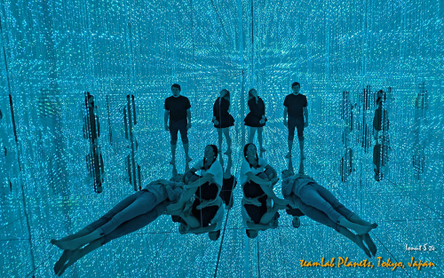 teamLab-Planets-PXL 20241101 004036045