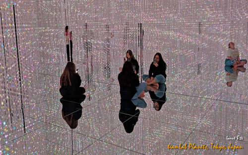 teamLab-Planets-PXL 20241101 004105182